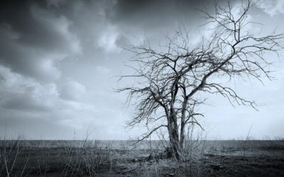 COVID: Going to the root of the poisonous tree