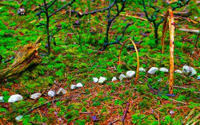 IMAGINATION IS A SPIRITUAL PATH