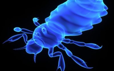 The Virus of Consciousness And How To Remove Implants