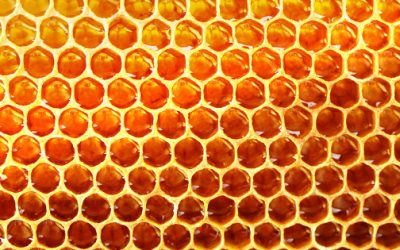 Honey for the Heart: Cardiovascular Benefits for Postmenopausal Women