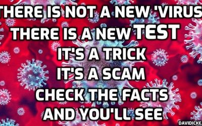 COVID: Fake study, Fake drug, Fake land of loons