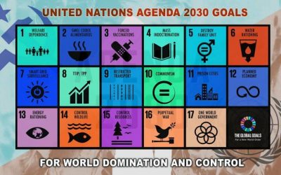Covid19 is Linchpin of NWO Blueprint