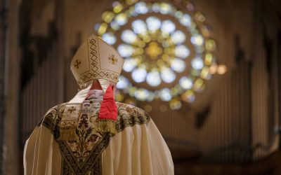 Vatican Insider Says COVID Is A “Colossal Operation of Social Engineering”