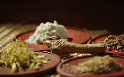 Ubulawu: There is More to Shamanic Healing Than Psychedelic Visions