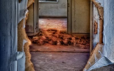 The Protocols Of Destruction