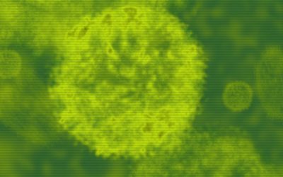 Dr. Stefan Lanka 2020 Article Busts the Virus Misconception