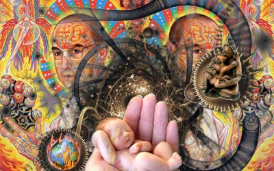 Belief Is Destiny ~ Life Is Diversity