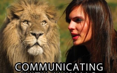 Animal Communicators Prove It’s Possible to Hear an Animal’s Thoughts