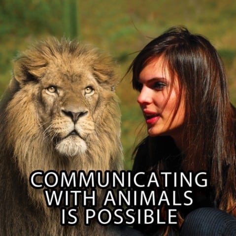 Animal Communicators Prove It’s Possible to Hear an Animal’s Thoughts