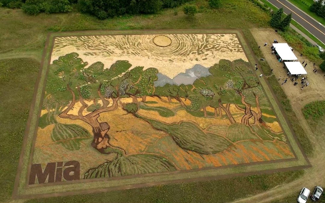 ARTIST RECREATES A VAN GOGH PAINTING WITH PLANTS ON A 1.2-ACRE FIELD