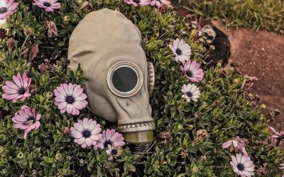 The Greatest Excuse on Earth