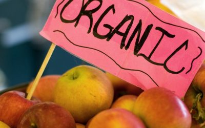 Groundbreaking Study Shows Organic Diets Drastically Lower Glyphosate Levels in the Body
