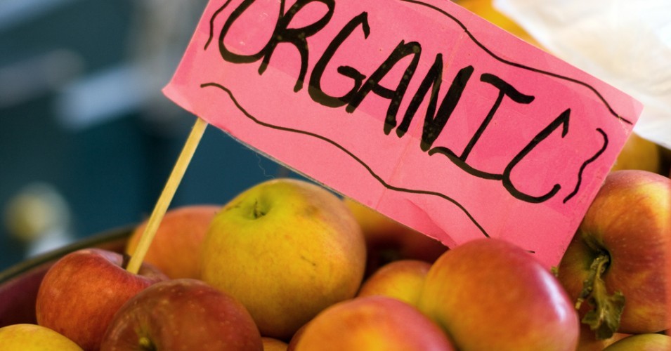 Groundbreaking Study Shows Organic Diets Drastically Lower Glyphosate Levels in the Body