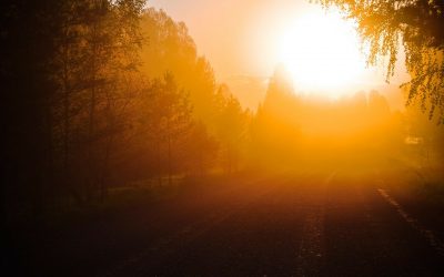 The Sun In Your Heart Is Shining Bright