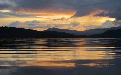 The Right-Brain Revolution By Nowick Gray