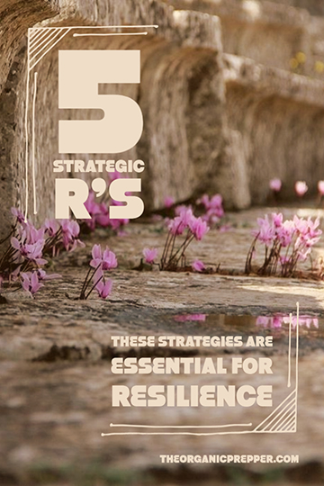 The 5 R’s: These Strategies Are Essential for Resilience