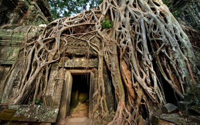 To Emerge from Our Pain We Have to Enter It