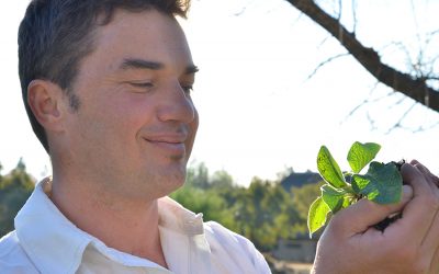 Message from the Spirit of Nature By Jean-Francois Sobiecki