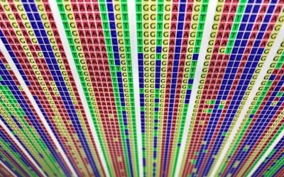 SARS-CoV-2: The Stitched Together, Frankenstein Virus