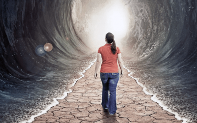 Can we Now Continue our Human Evolution?   By Dennis L. Kingsley