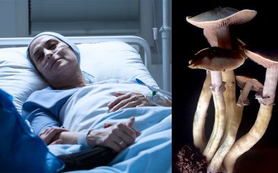CANADA ALLOWS PATIENTS TO USE PSYCHEDELICS FOR END-OF-LIFE THERAPY
