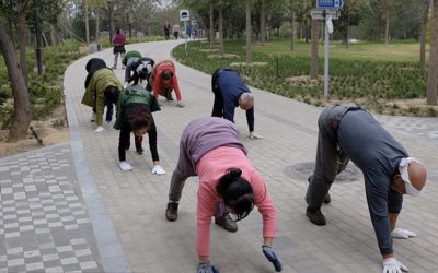 Covid Research Made Easy by Nowick Gray