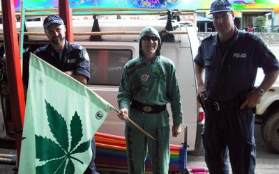 Domesticated Apes or Trained Schooling Fish?