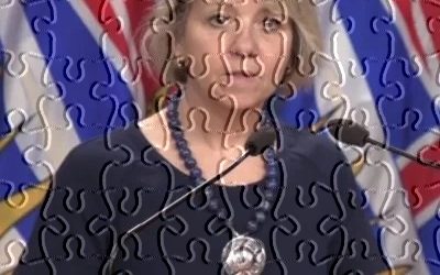 Puzzling Pandemic Policy: An Appeal to Consider All the Evidence