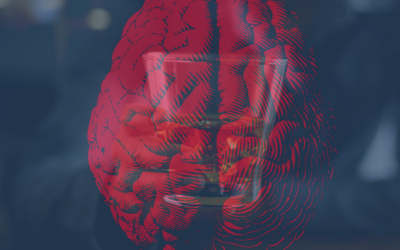 New Study Suggests Binge Drinking Could Damage Brain And Cause Lasting Anxiety