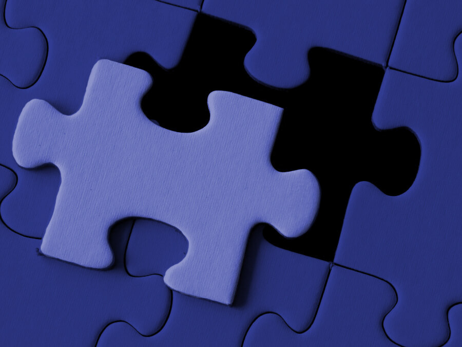 Solving the Puzzle of Ourselves