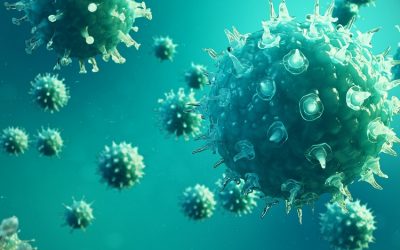 WHY HAS EVERYONE SEEMINGLY FORGOTTEN HOW THE IMMUNE SYSTEM WORKS?