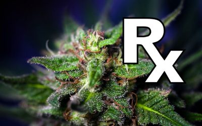 Cannabis Extract Fights ‘Incurable Form’ of Leukemia