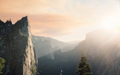 Your Inherent Power As An Individual Vs. A Close-Looped System of Thought