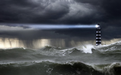 Birds Around The Lighthouse