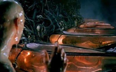 Narrative Is Crumbling By Caitlin Johnstone