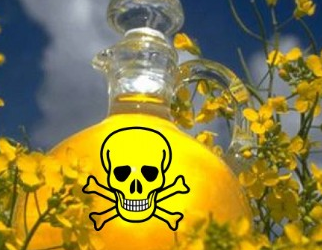 CANOLA OIL PROVEN TO DESTROY YOUR BODY AND MIND