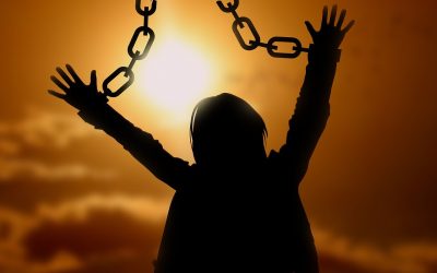 Open letter to patriots everywhere: LIVE FREE