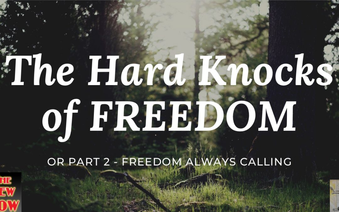 The Hard Knocks of Freedom