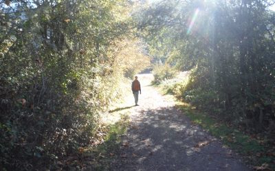 Metapolitical By Nowick Gray