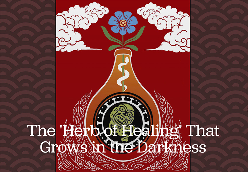 The ‘Herb of Healing’ That Grows in the Darkness