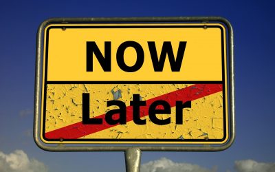  Life Starts from Here  By Julian Rose