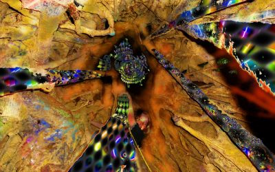 Oikumene The Sacred Life of Us