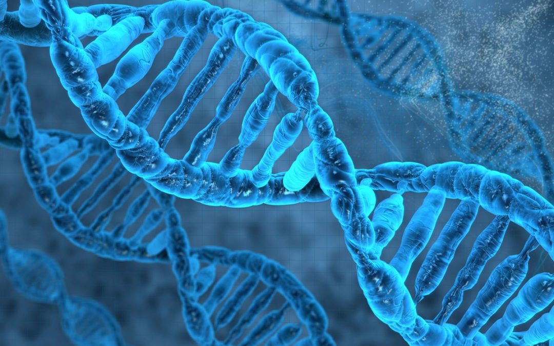 The Non-Physical Properties of Human DNA