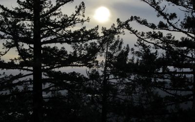 New World Haiku  by Nowick Gray