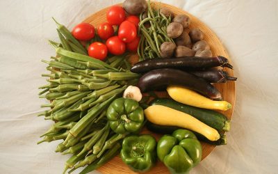 Food with a High Vibration which Results in a Higher Consciousness