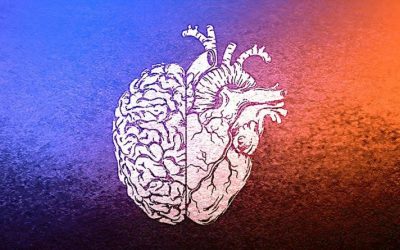 Intuition Is A “Superpower” Representing One of The Highest Forms of Intelligence