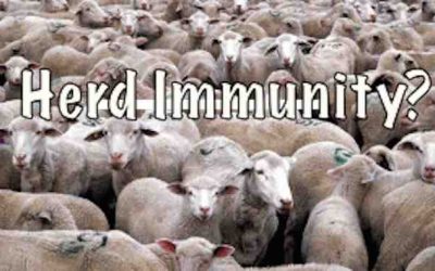 WHO Changes Definition of Herd Immunity