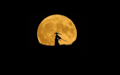 Be Your Own Revolution ~ By Caitlin Johnstone