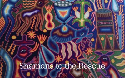 Shamans to the Rescue  By Paul Levy