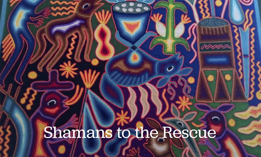 Shamans to the Rescue  By Paul Levy